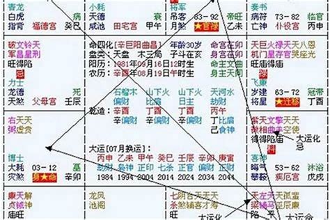 八字流年2024|震豐八字：2024年運解讀之地支篇